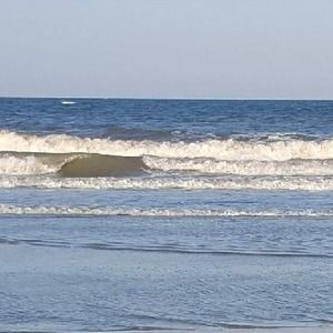 Meet your Posher, Bruce